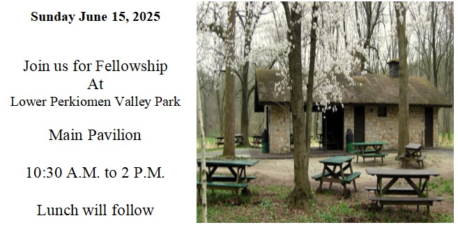 6-15 Picnic