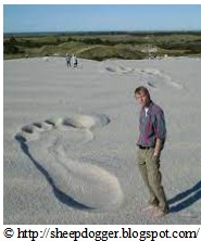 God's Footsteps